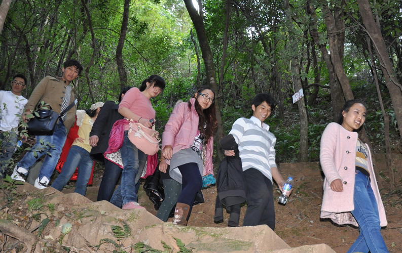 青龙峡位于昆明西郊安宁市青龙镇滇中生态大峡谷中，景区有保存较为完好的植物群落，遮天蔽日的参天古木；有浪漫山花，野果飘香，还有清秀宁静的田园风光。河谷沿岸古柳成荫，几十里的云南樱花大道成为昆明郊游靓丽的风景线。景区中溪水潺潺，千姿百态、千奇百怪的蔓藤风光随处可见，号称“都市身旁的小九寨。